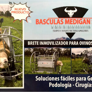 Brete inmovilizador para ovinos y caprinos